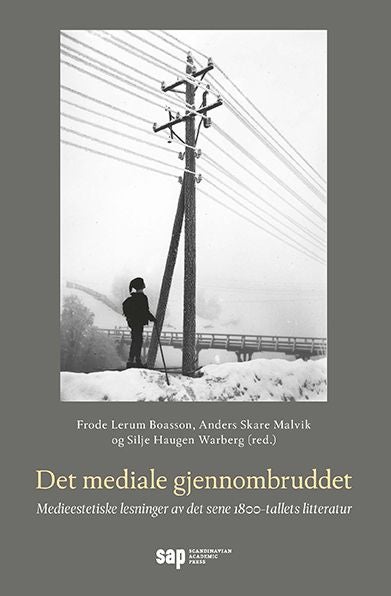 Det mediale gjennombruddet - medieestetiske lesninger av det sene 1800-tallets litteratur
