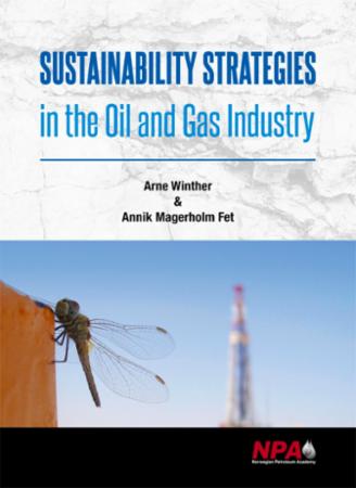 Sustainability strategies in the oil and gas industry