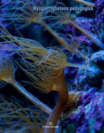 Nysgjerrighetens pedagogikk - om rasjonalitet i vitenskap, hverdagsliv, kommunikasjon og etikk