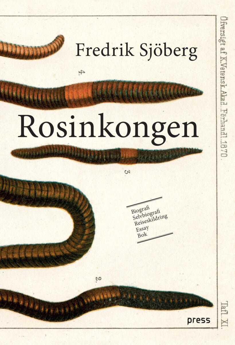 Bilde av Rosinkongen Av Fredrik Sjöberg