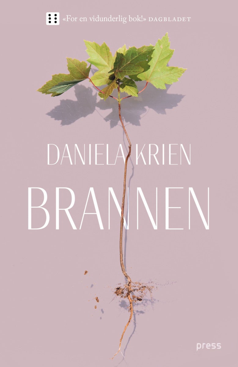 Brannen av Daniela Krien
