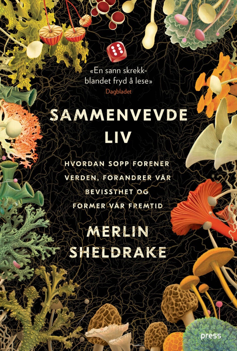 book cover thumbnail