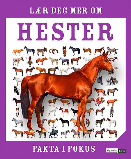 Lær deg mer om hester