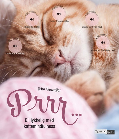 Prrr- - bli lykkelig med kattemindfulness