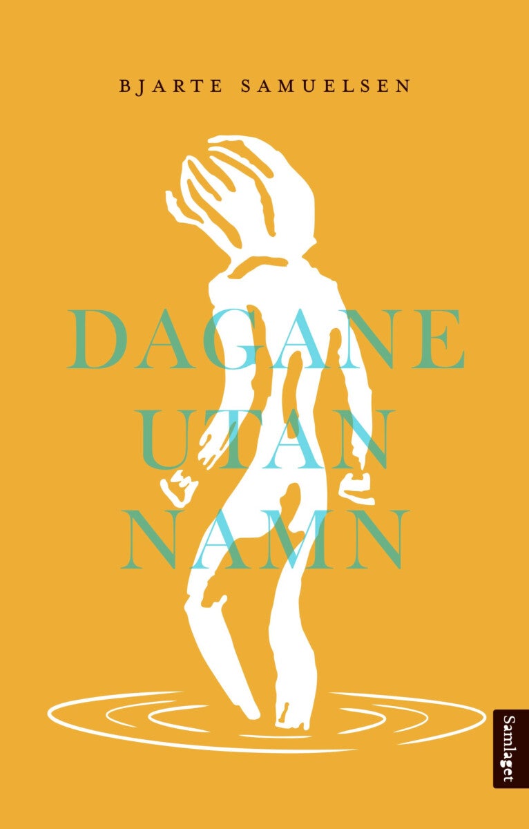 Dagane utan namn - roman