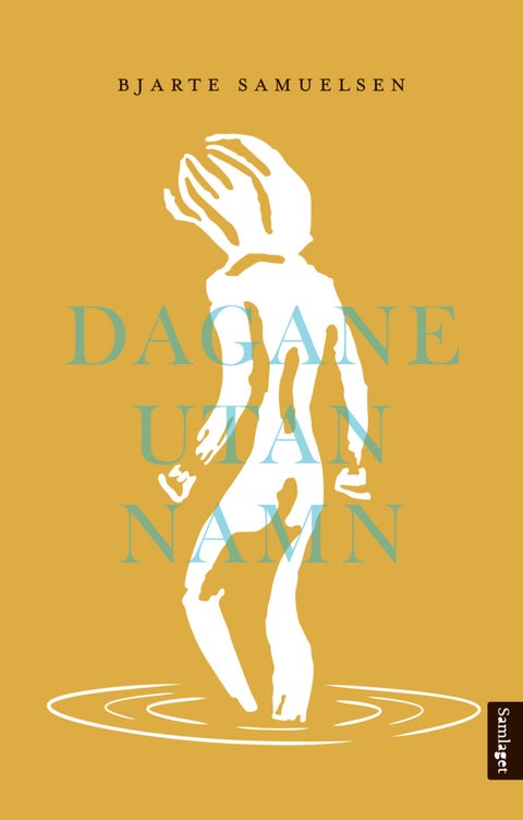 Dagane utan namn - roman