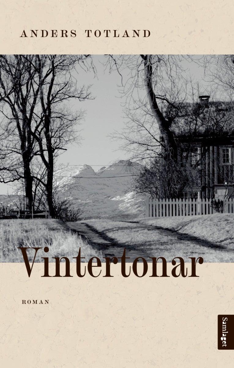 Vintertonar - roman