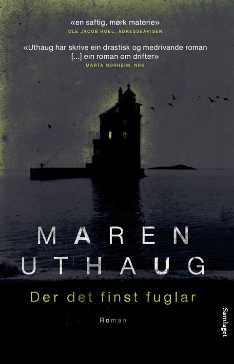 Der det finst fuglar - roman
