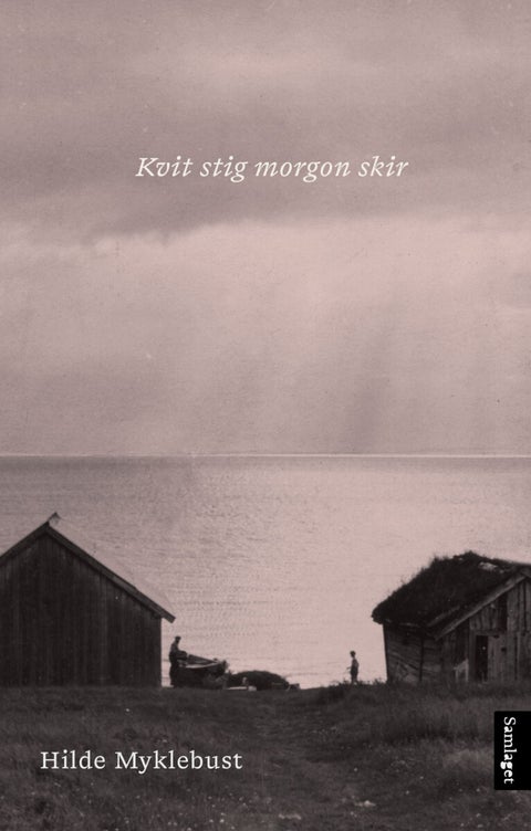 Kvit stig morgon skir - dikt