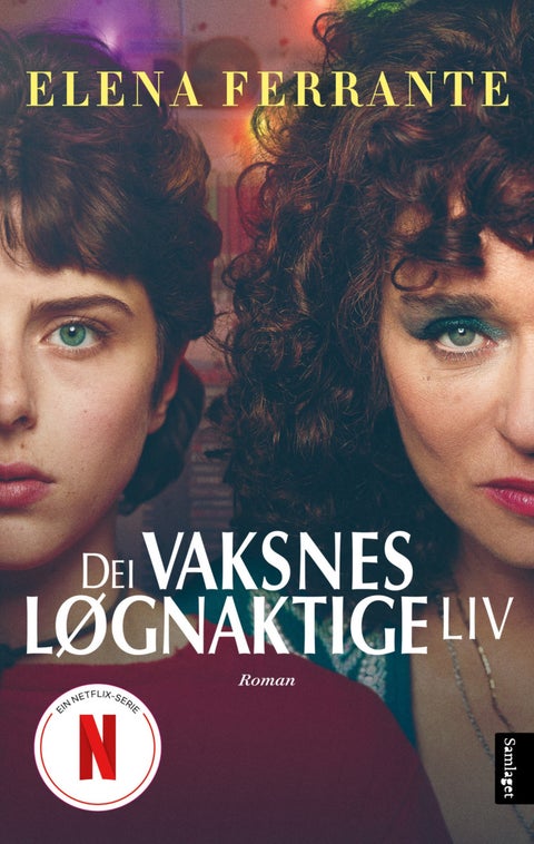 Dei vaksnes løgnaktige liv - roman