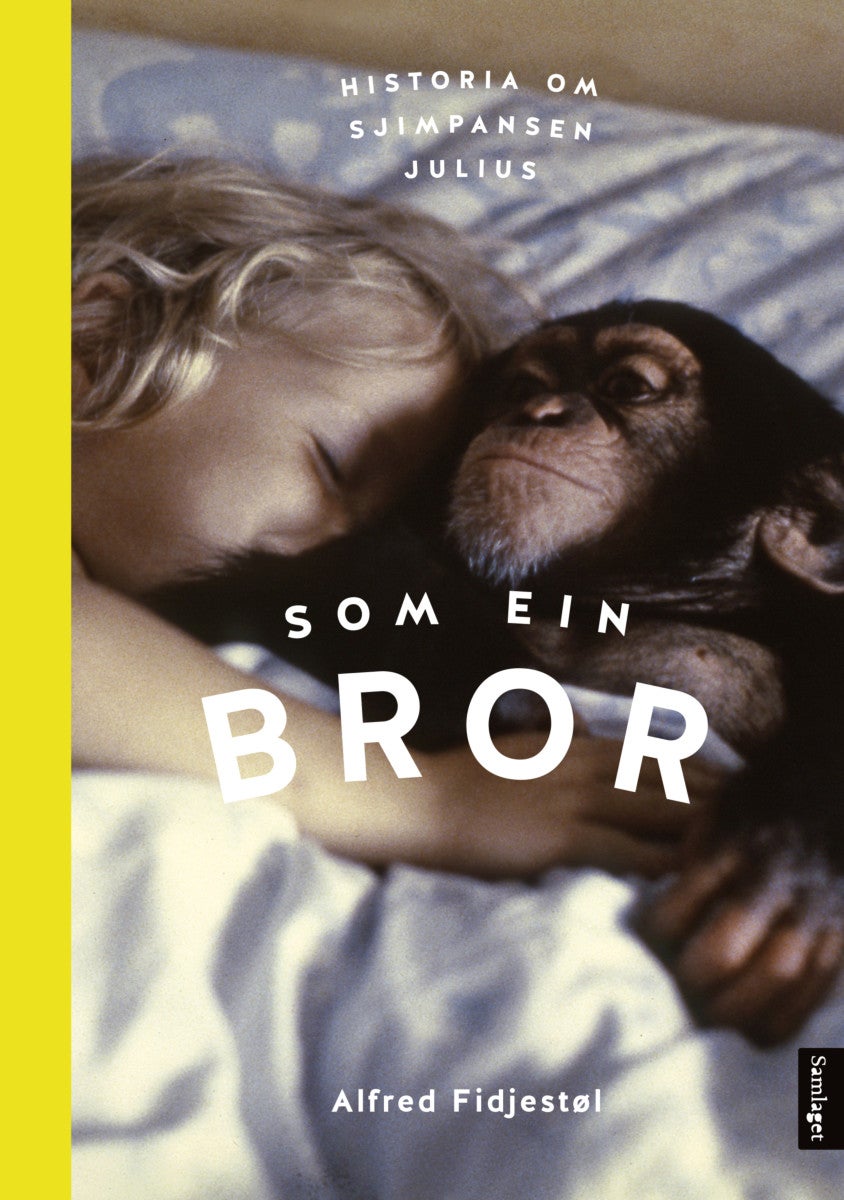 book cover thumbnail