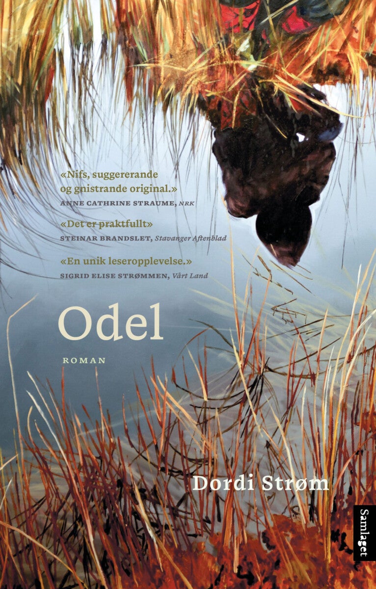 Odel - roman