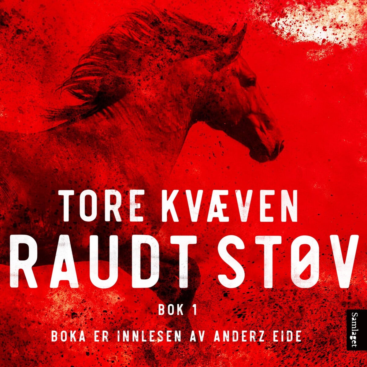 Raudt støv - Bok 1 : roman