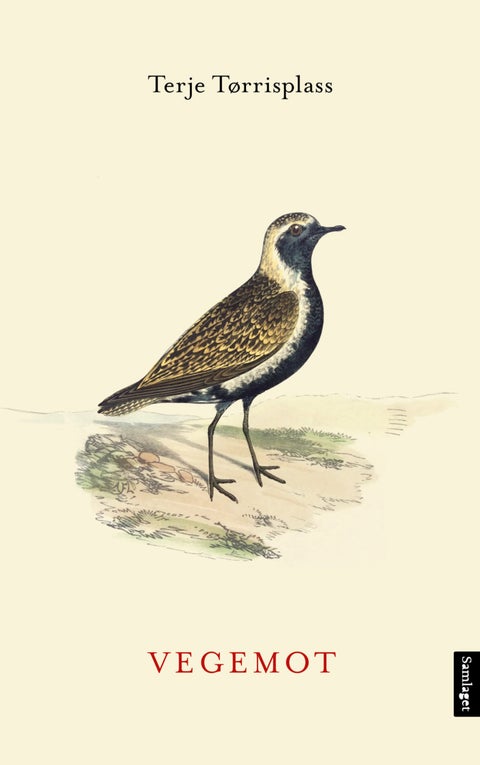 Vegemot - dikt