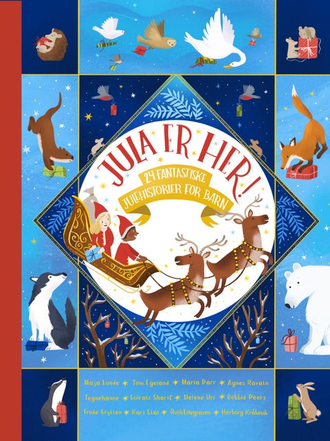 Jula er her! - 24 fantastiske julehistorier for barn