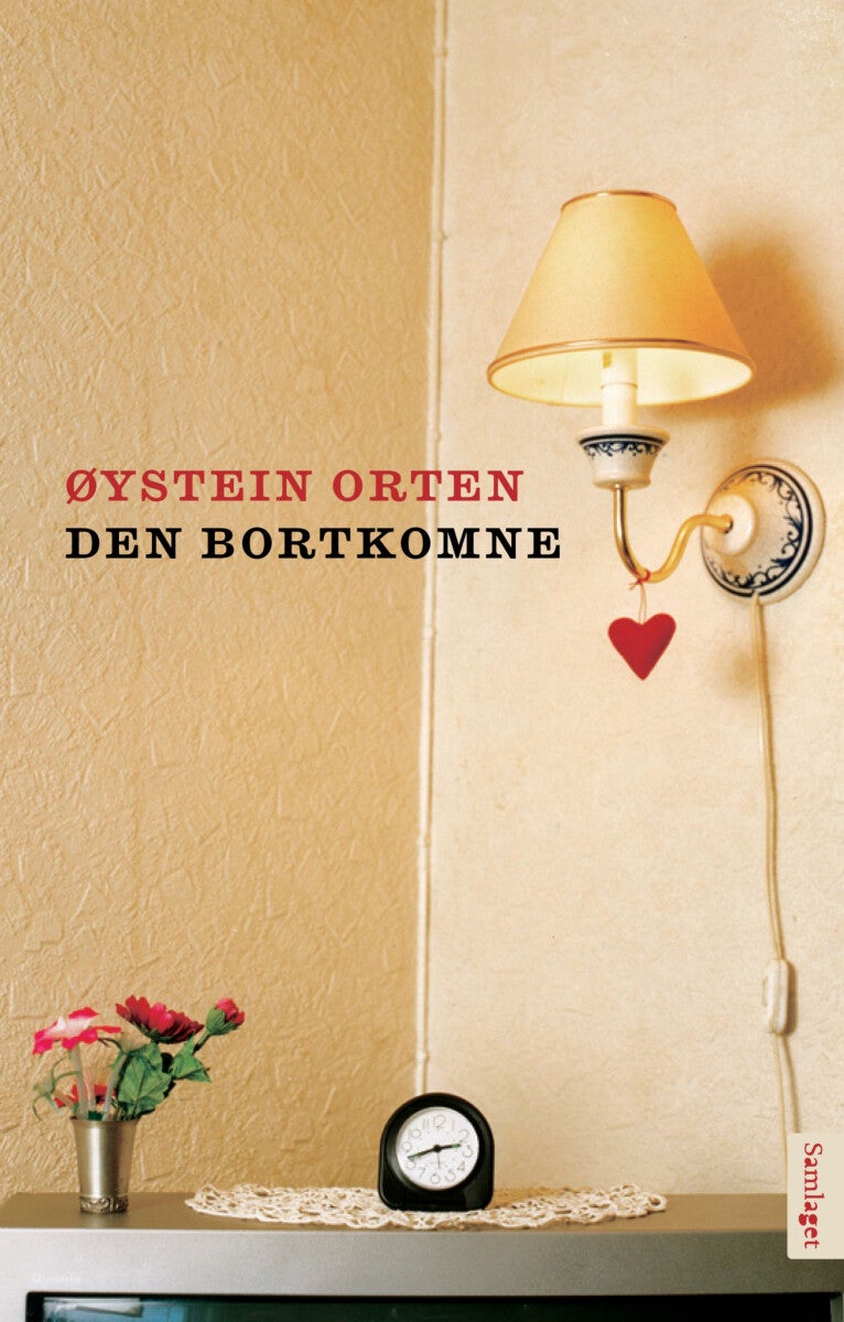 Den bortkomne - roman