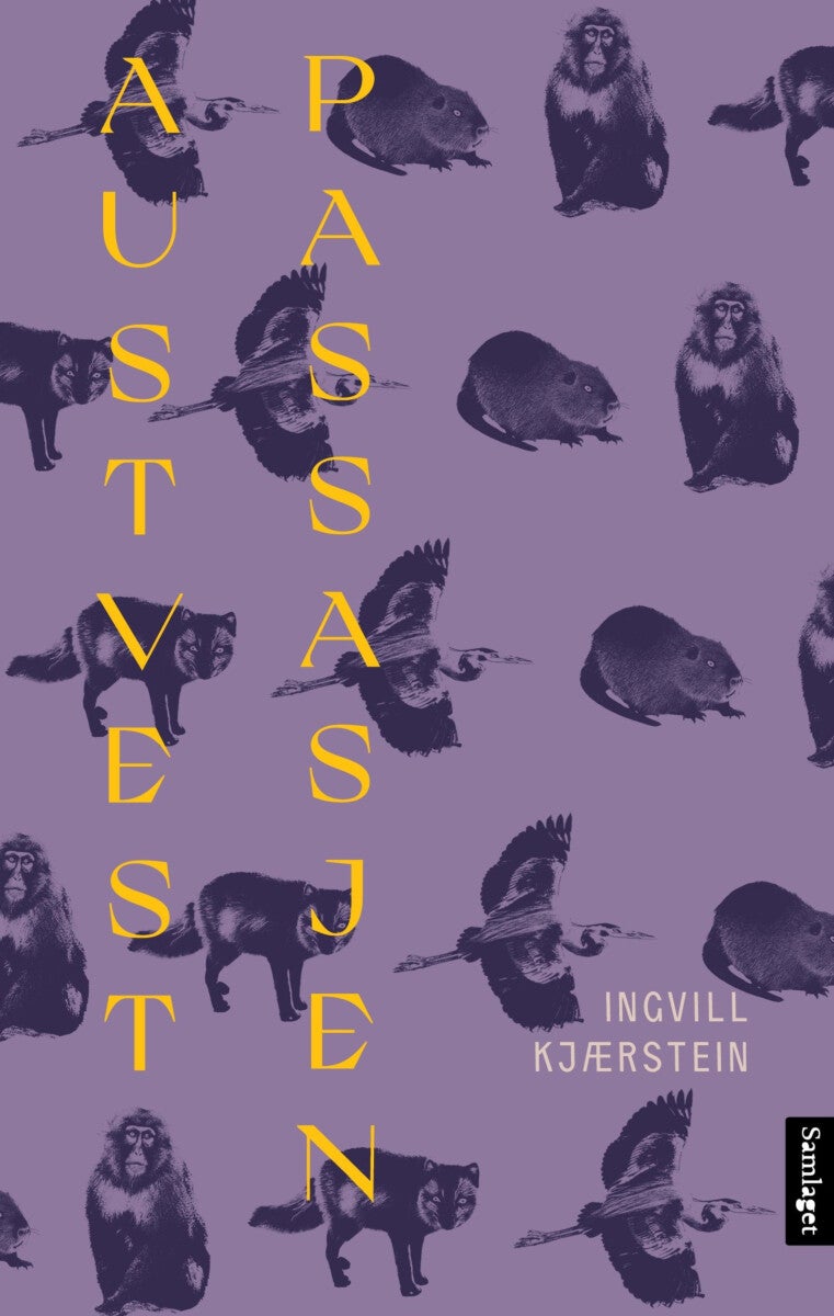 Austvestpassasjen - roman