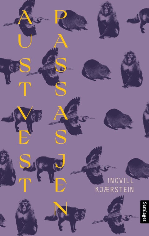 Austvestpassasjen - roman