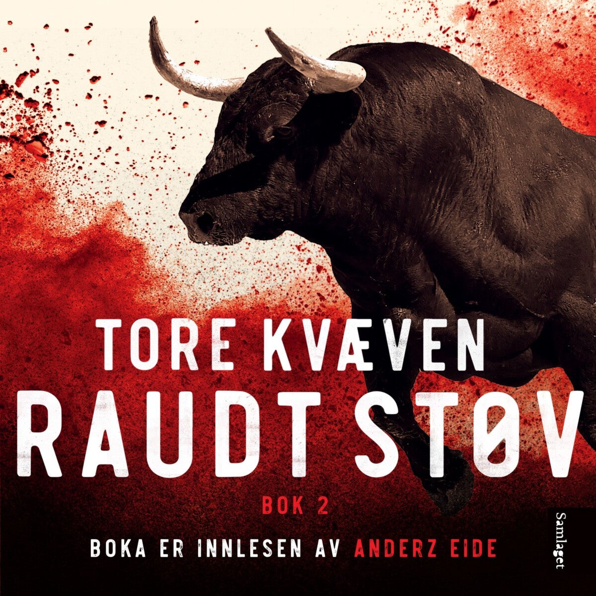 Raudt støv - Bok 2 : roman