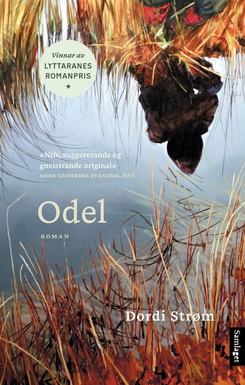 Odel - roman