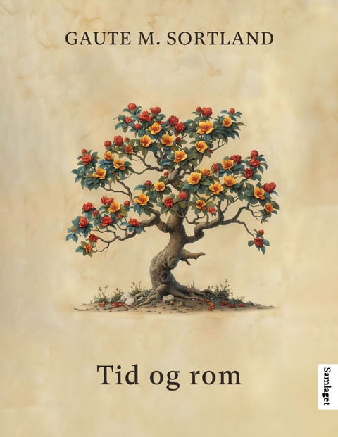 Tid og rom - roman