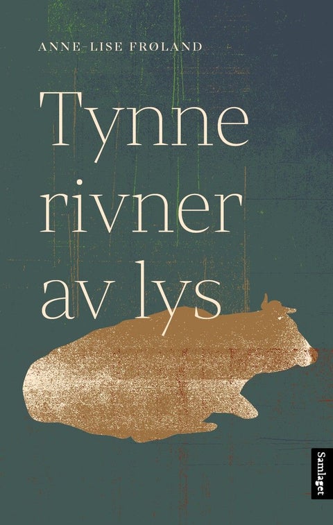 Tynne rivner av lys - roman