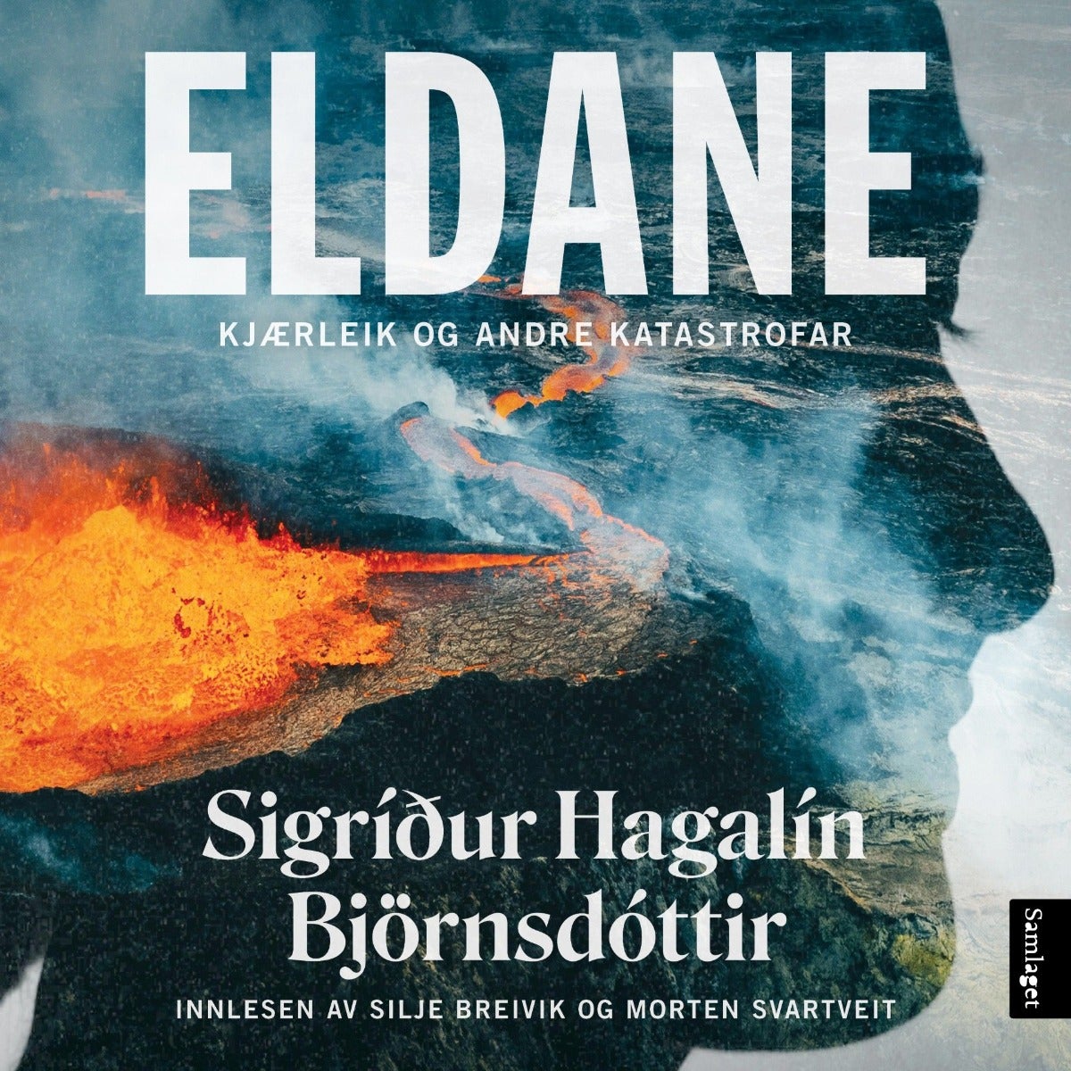 Eldane - kjærleik og andre katastrofar : roman