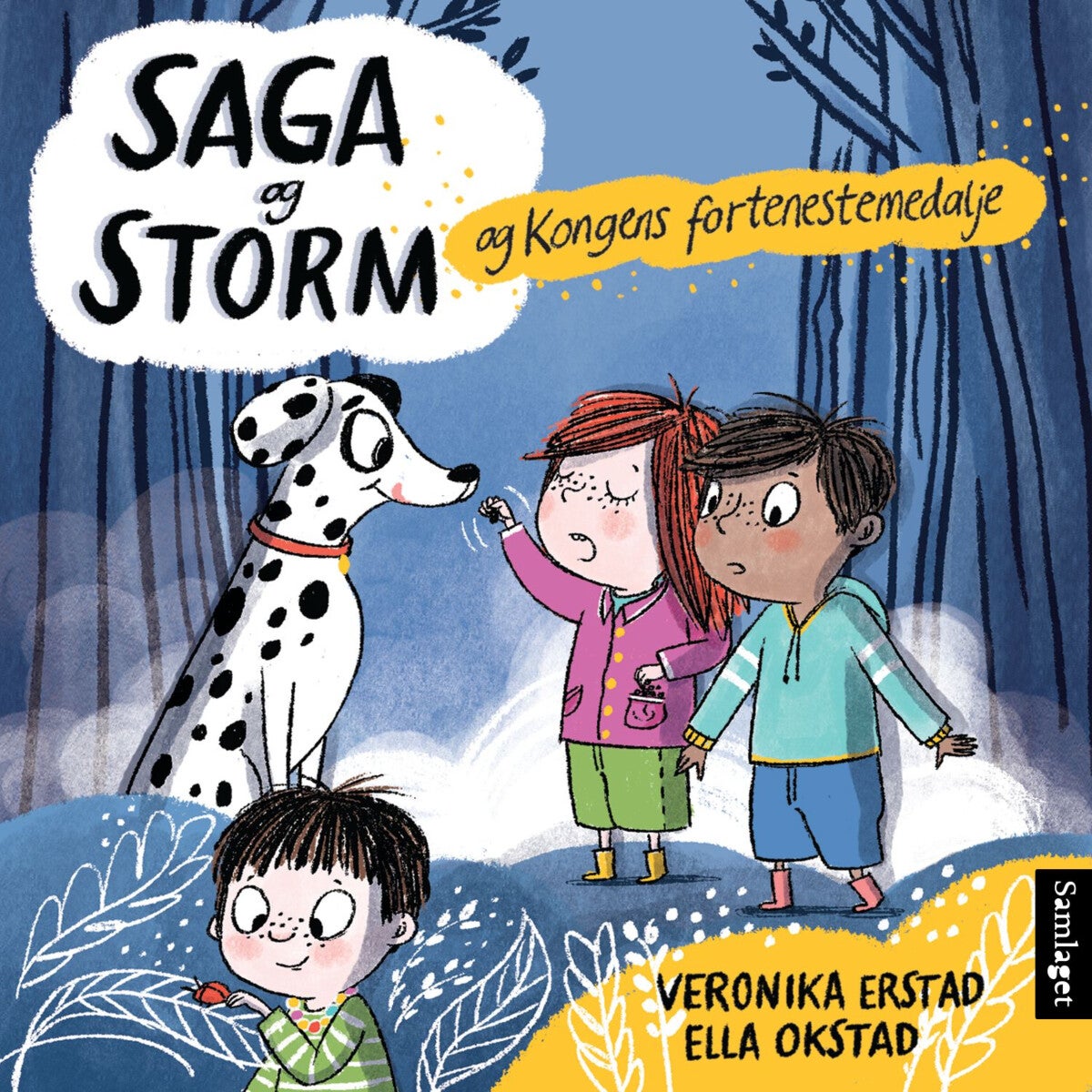 Saga og Storm og Kongens fortenestemedalje - roman