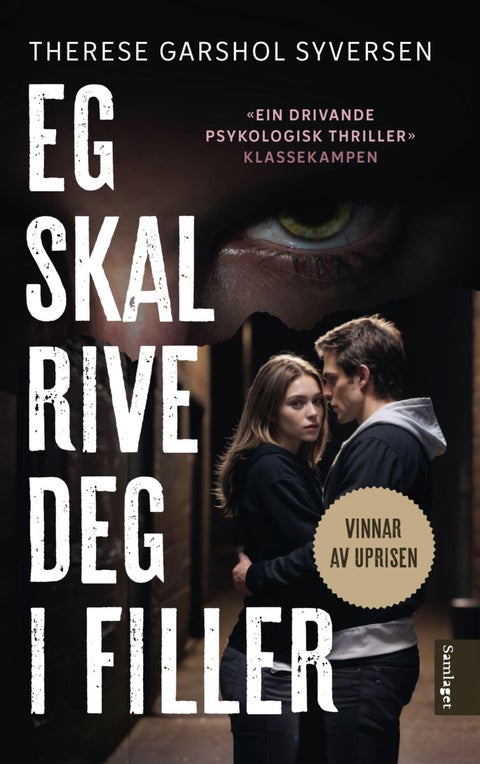 Eg skal rive deg i filler - roman