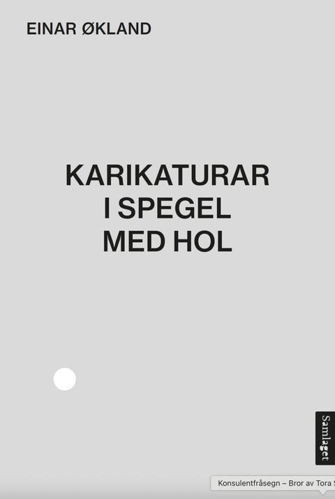 Karikaturar i spegel med hol