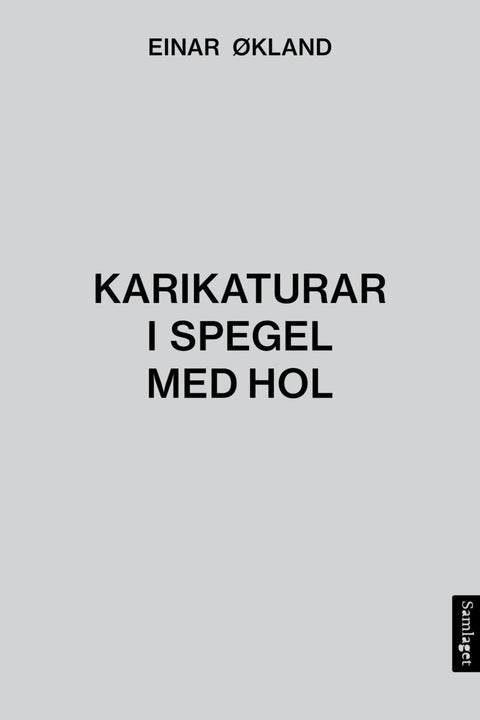 Karikaturar i spegel med hol