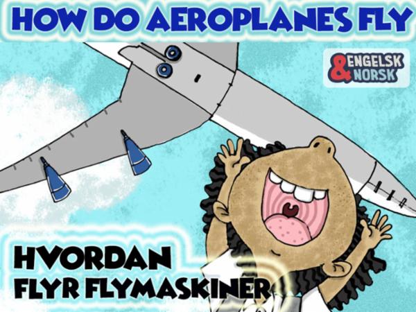 Bilde av Hvordan Flyr Flymaskiner = How Do Aeroplanes Fly Av Aditi Sarawagi
