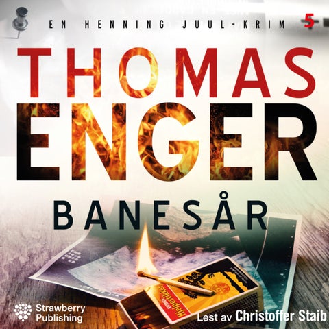 Banesår - kriminalroman