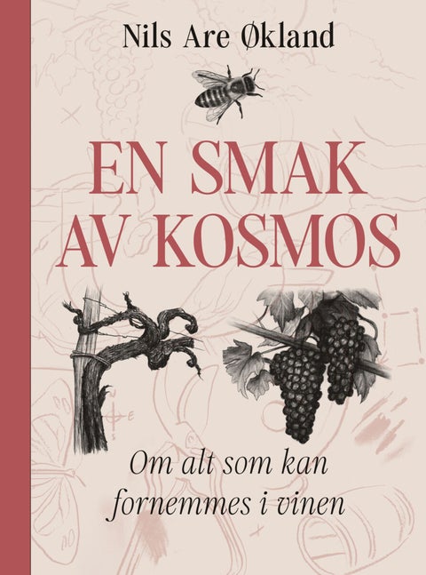 En smak av kosmos - om alt som kan fornemmes i vinen