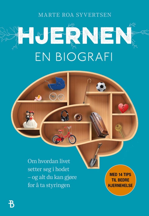 Hjernen - en biografi : om hvordan livet setter seg i hodet - og alt du kan gjøre for å ta styringen