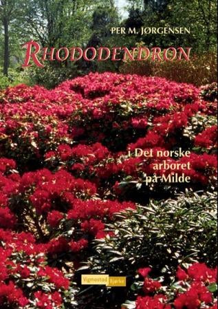 Rhododendron - i det norske arboret på Milde