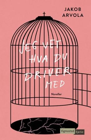 Jeg vet hva du driver med - noveller