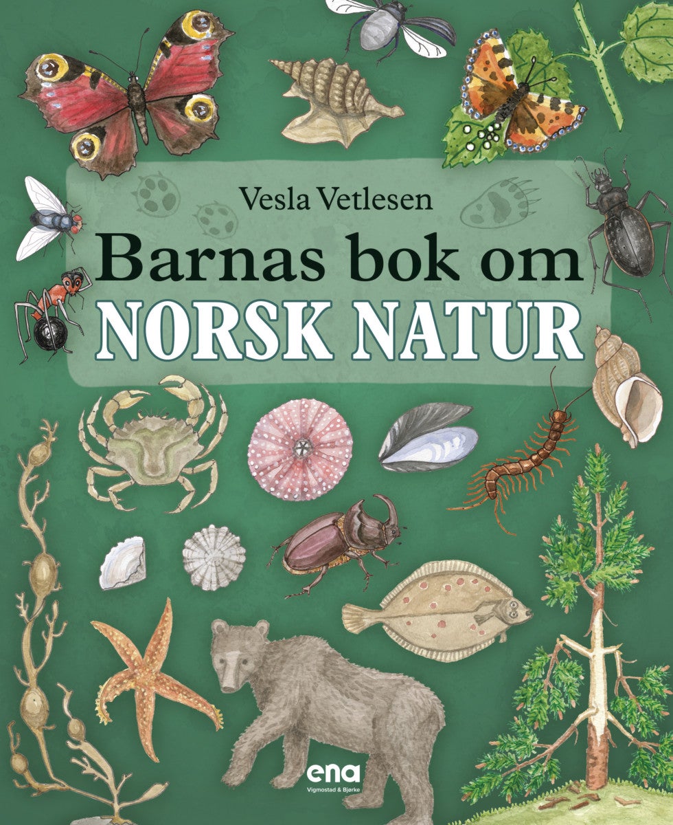 Bilde av Barnas Bok Om Norsk Natur Av Vesla Vetlesen