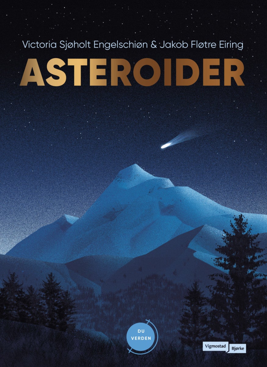 Asteroider av Victoria Sjøholt Engelschiøn