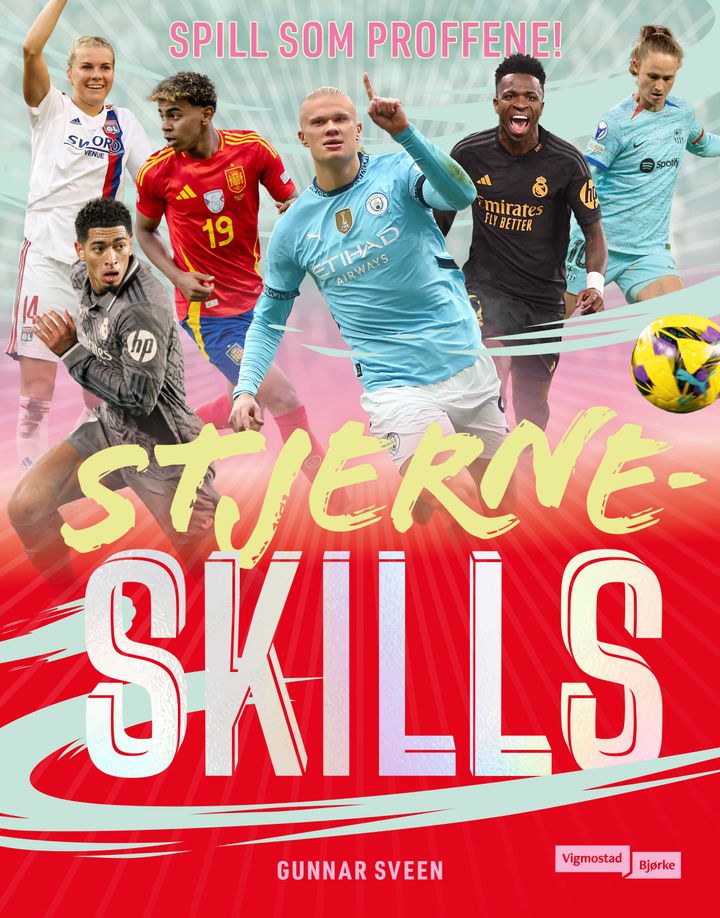 Stjerneskills