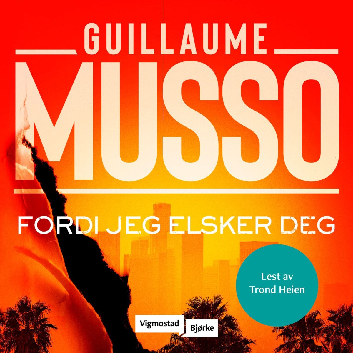 Fordi jeg elsker deg - roman