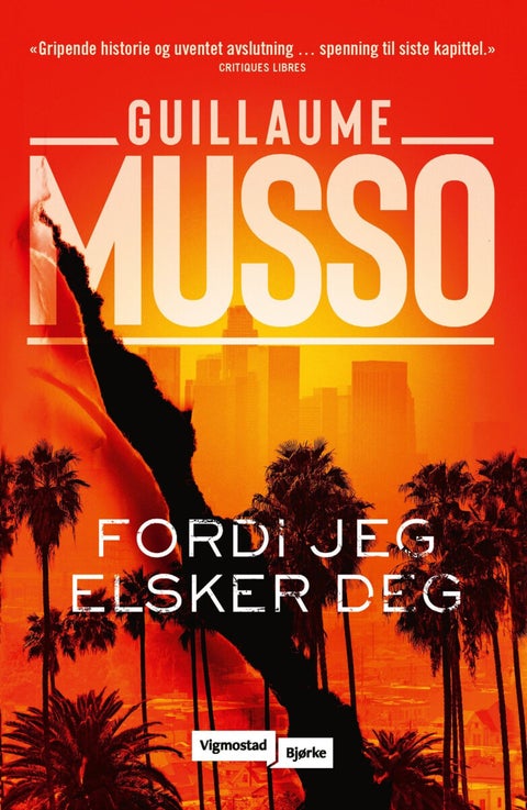 Fordi jeg elsker deg - roman