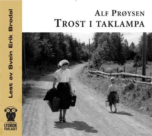 Trost i taklampa