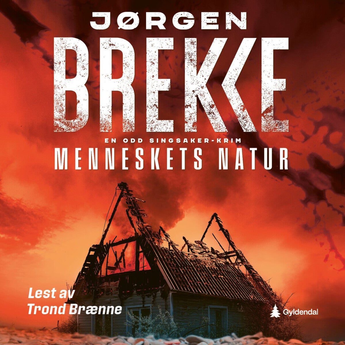 book cover thumbnail