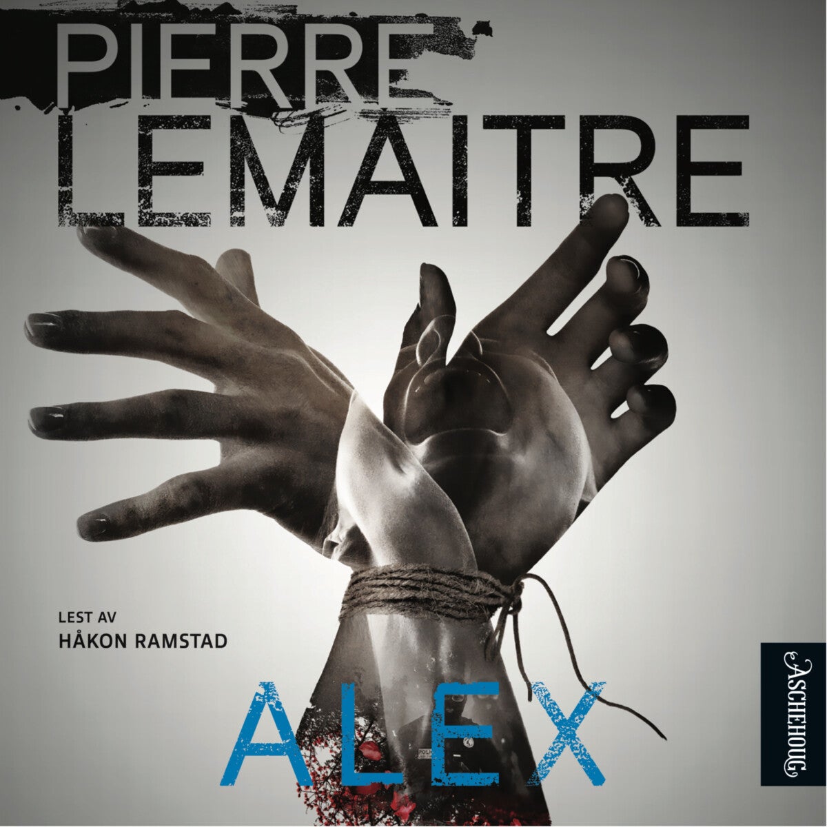 book cover thumbnail