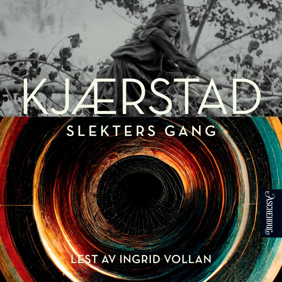 book cover thumbnail