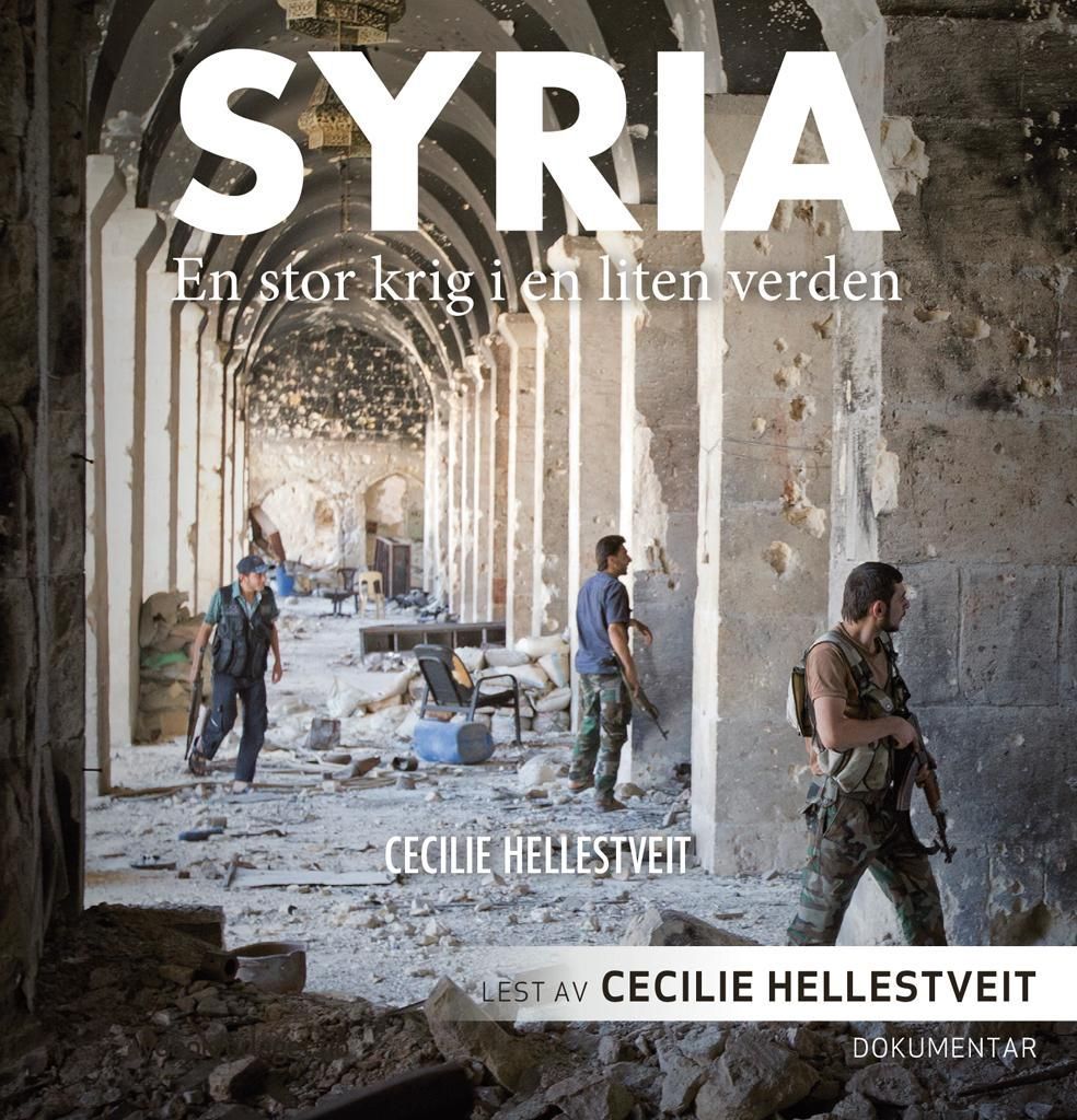 Syria - en stor krig i en liten verden