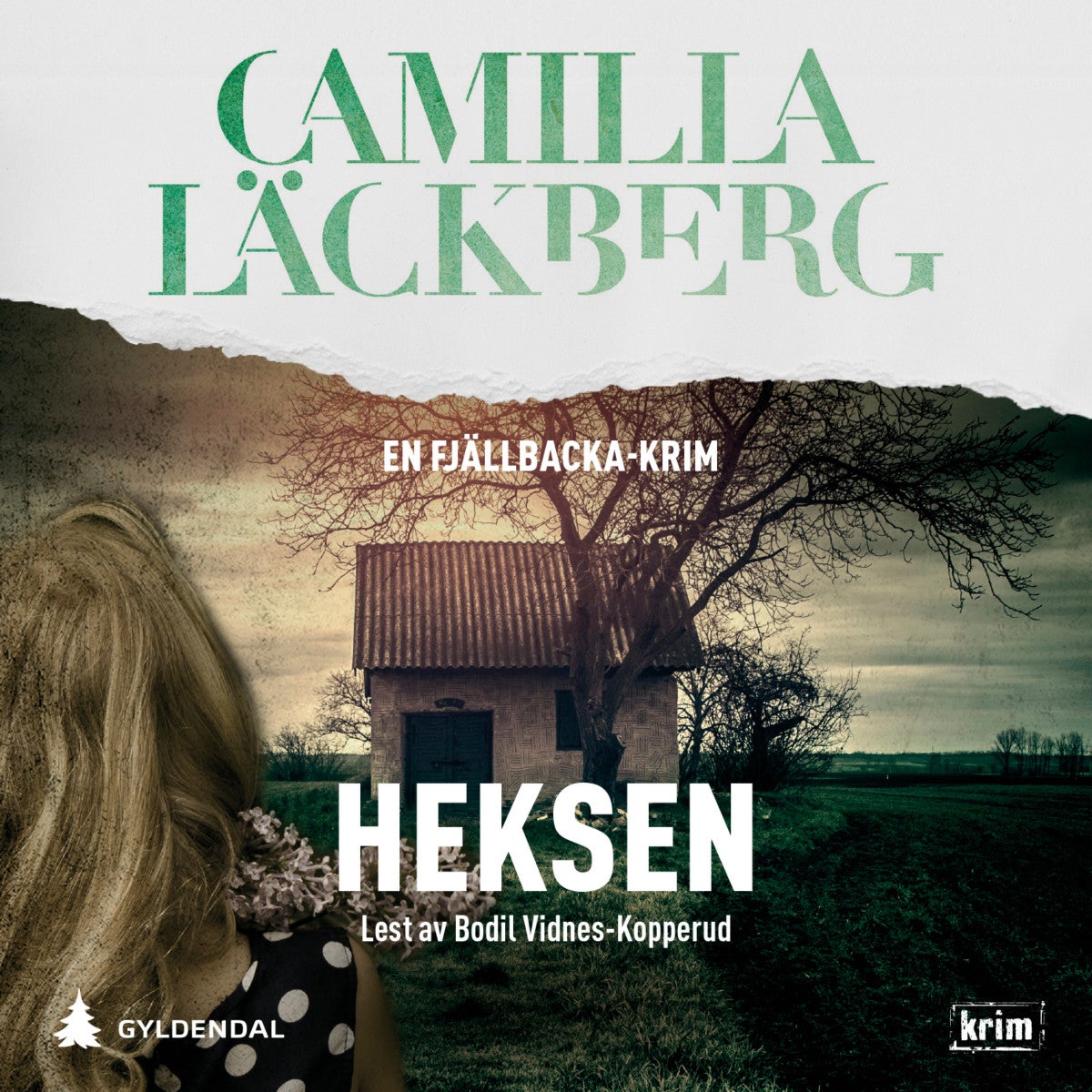Heksen av Camilla Läckberg