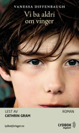 Vi ba aldri om vinger