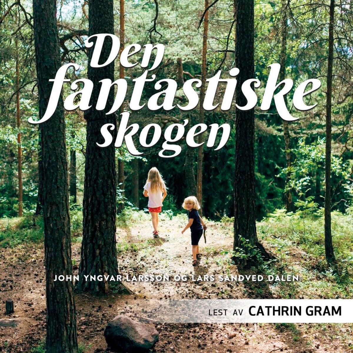 Den fantastiske skogen